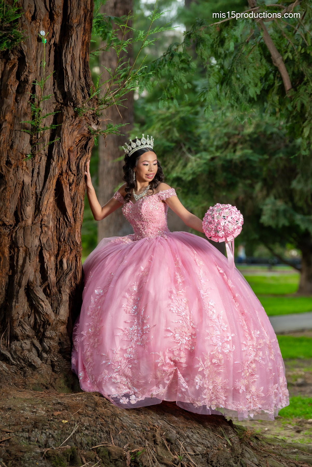 Quinceañera Photographer Rose Garden